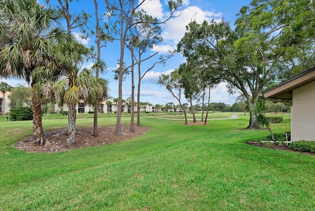 4505 Kingsmere Unit 2, Sarasota, FL 34235 - view of grassy yard