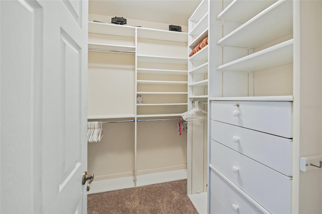 1280 Dolphin Bay Way Unit 204, Sarasota, FL 34242 - walk in closet with carpet