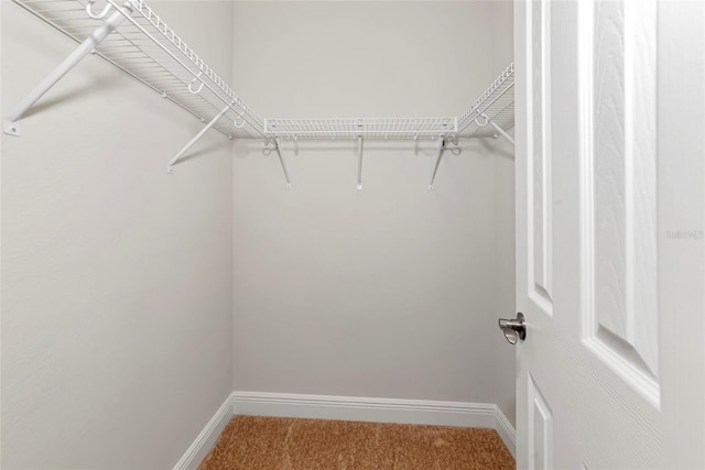 12613 Oak Hill Way, Parrish, FL 34219 - spacious closet featuring carpet floors