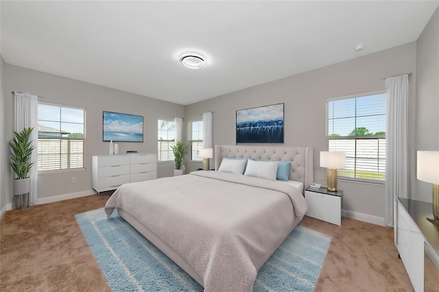 12613 Oak Hill Way, Parrish, FL 34219 - bedroom featuring light colored carpet, baseboards, and multiple windows
