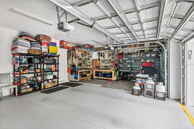 4406 Rustling Pines Ter, Parrish, FL 34219 - garage with a garage door opener and a workshop area