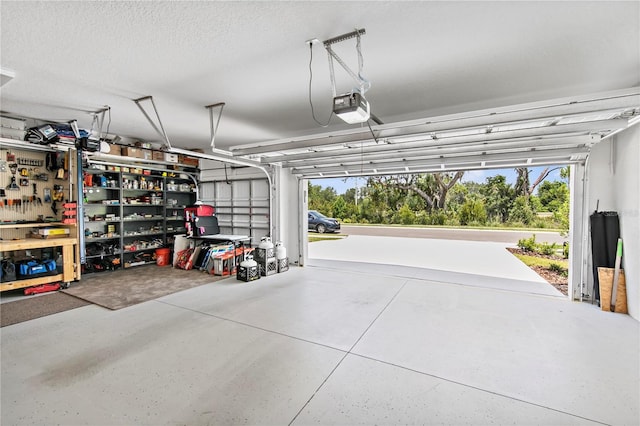 4406 Rustling Pines Ter, Parrish, FL 34219 - garage with a garage door opener