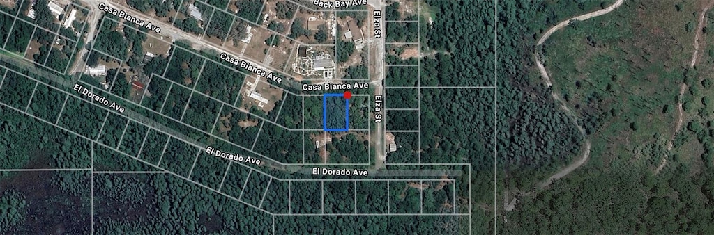 Casa Bianca Ave, New Port Richey, FL 34654 - photo 3