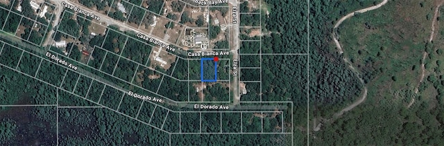 Casa Bianca Ave, New Port Richey, FL 34654 - photo 3