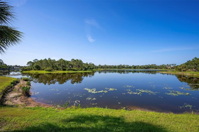 11435 Fort Lauderdale Pl, Venice, FL 34293 - photo 44