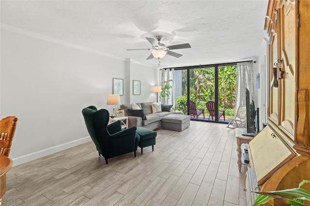 157 Pinehurst Dr Unit 157, Bradenton, FL 34210 - living room with light wood finished floors, a ceiling fan, floor to ceiling windows, baseboards, and crown molding
