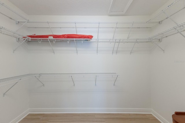 walk in closet featuring light wood-style flooring