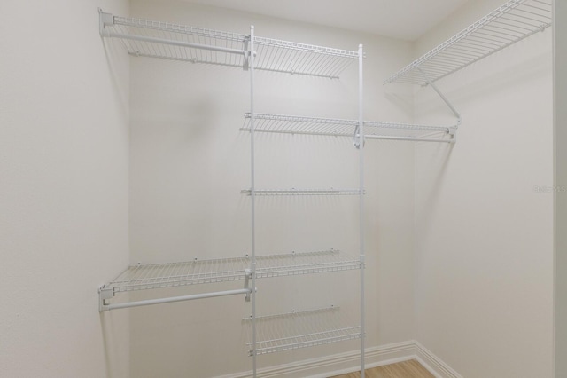 spacious closet with light wood-style flooring