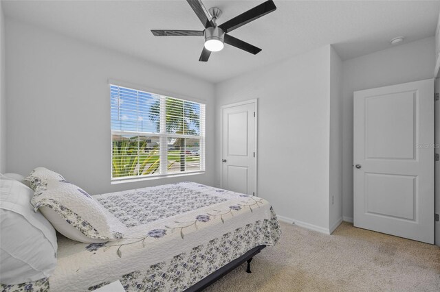 2721 Greenleaf Ter, Parrish, FL 34219 - photo 10