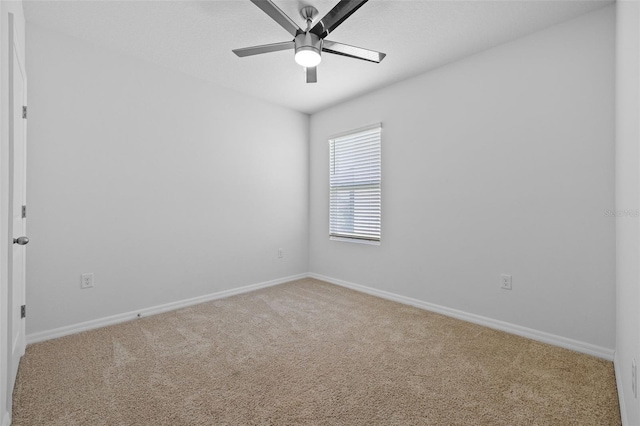 2721 Greenleaf Ter, Parrish, FL 34219 - photo 13