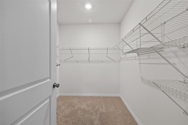 2721 Greenleaf Ter, Parrish, FL 34219 - photo 36