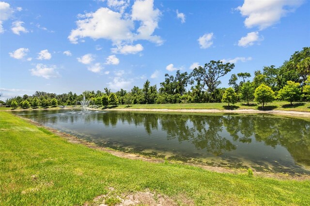 2721 Greenleaf Ter, Parrish, FL 34219 - photo 43
