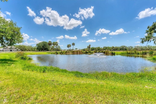 919 Palm View Way, Sarasota, FL 34240 - water view
