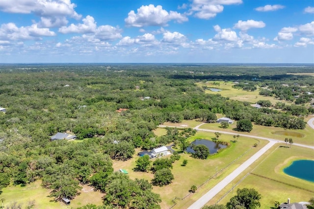 919 Palm View Way, Sarasota, FL 34240 - aerial view of a forest and a nearby body of water