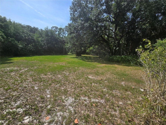 2905 Sunset Rd, Melbourne, FL 32904 - view of green lawn with a wooded view