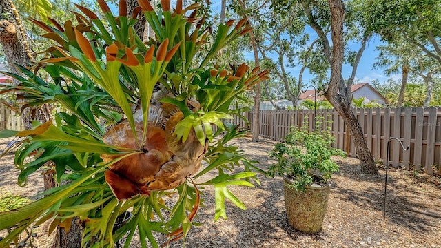 755 Edgemere Ln, Sarasota, FL 34242 - view of yard
