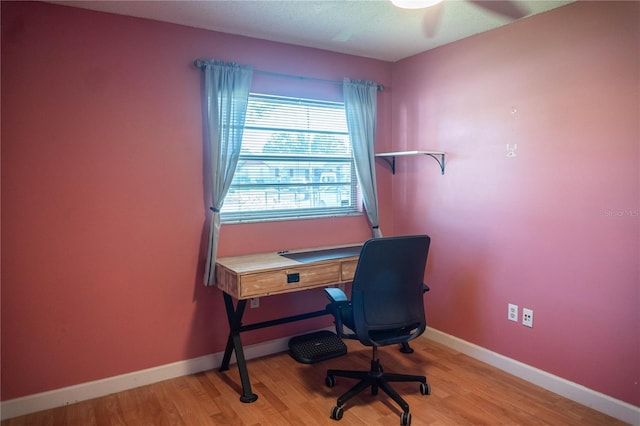 1004 65th Ave W, Bradenton, FL 34207 - home office featuring light wood-type flooring and ceiling fan