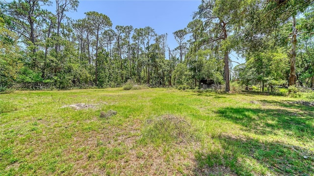 6990 Richardson Rd, Sarasota, FL 34240 - view of yard with a wooded view