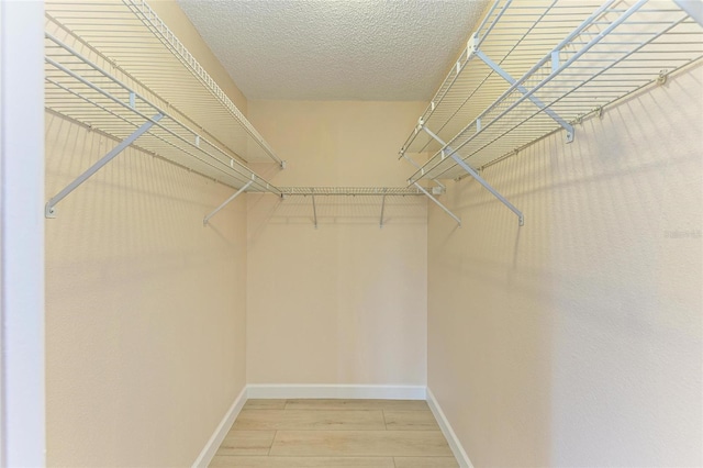645 Liberty St, Englewood, FL 34223 - walk in closet with light wood-style flooring