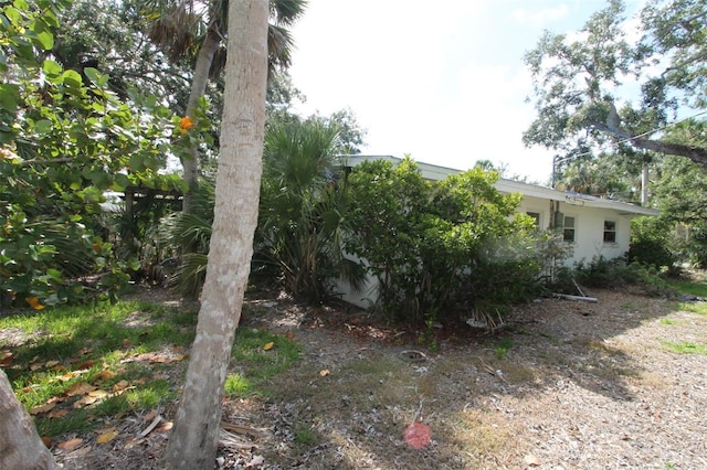 129 Pierson Ln, Sarasota, FL 34242 - view of yard