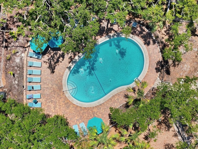 1255 E Peppertree Dr Unit 507, Sarasota, FL 34242 - drone / aerial view of a pool area