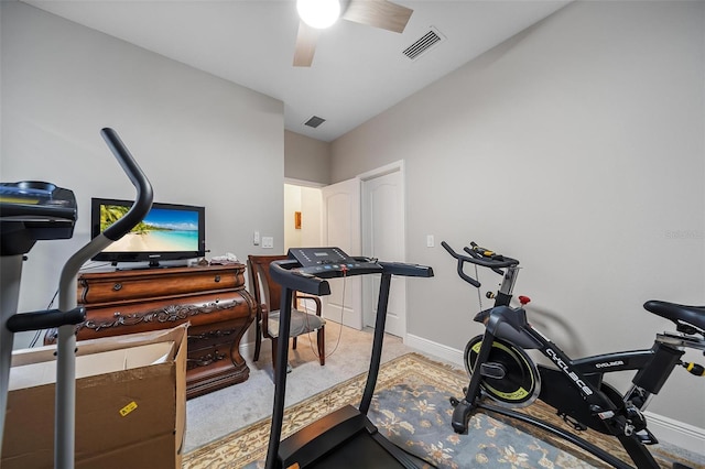 2625 Star Apple Way, Sarasota, FL 34240 - exercise area with carpet, ceiling fan, and baseboards
