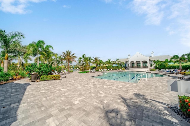 2625 Star Apple Way, Sarasota, FL 34240 - community pool with a patio area
