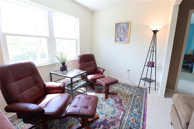 living area with carpet flooring and baseboards