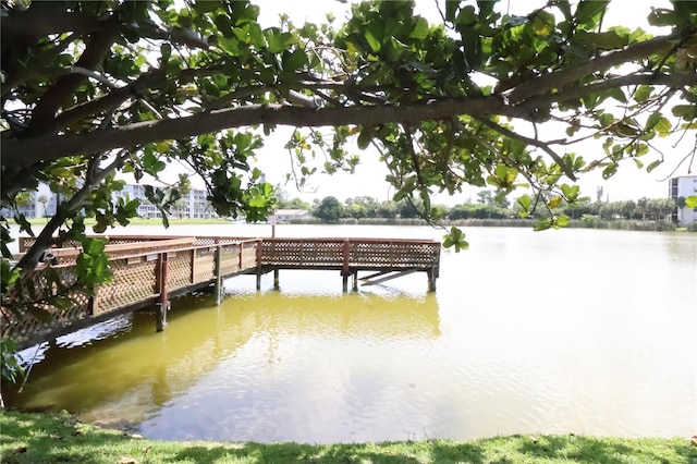 dock with a water view