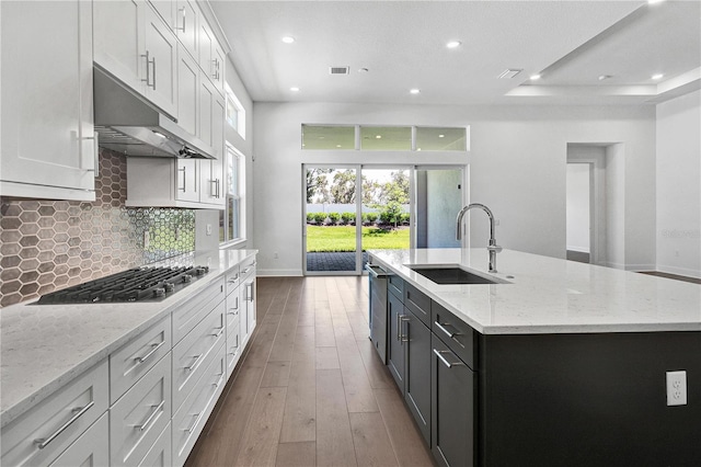 17723 Palmiste Dr, Bradenton, FL 34202 - kitchen featuring stainless steel appliances, a center island with sink, under cabinet range hood, recessed lighting, and wood-type flooring