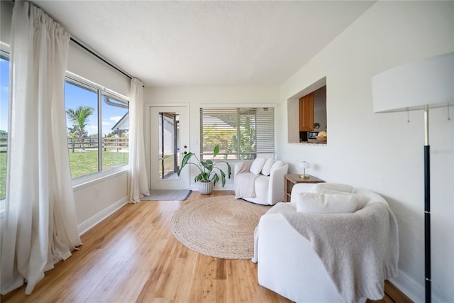 3810 Hidden River Rd, Sarasota, FL 34240 - living room with light wood-style flooring and baseboards