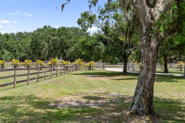 3810 Hidden River Rd, Sarasota, FL 34240 - view of yard