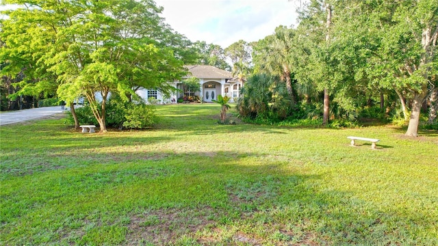 950 Trotter St, Nokomis, FL 34275 - view of green lawn with view of wooded area