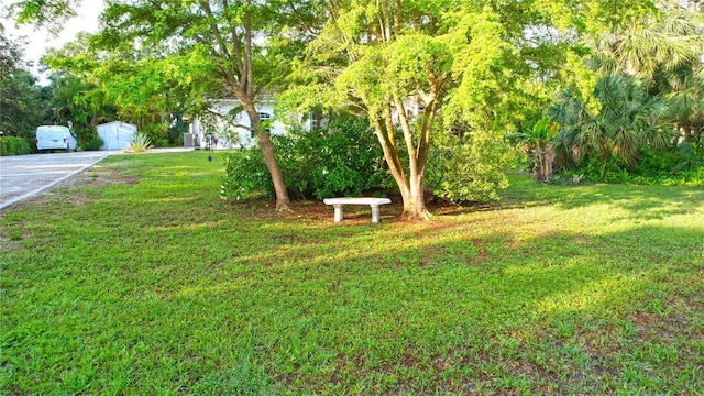 950 Trotter St, Nokomis, FL 34275 - view of grassy yard