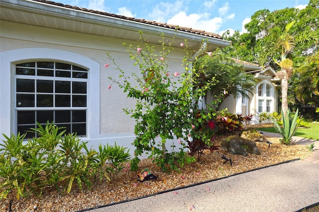 950 Trotter St, Nokomis, FL 34275 - view of side of home with stucco siding