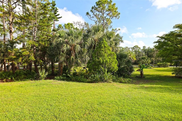 950 Trotter St, Nokomis, FL 34275 - view of green lawn featuring view of wooded area
