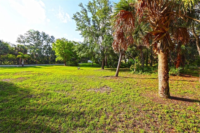 950 Trotter St, Nokomis, FL 34275 - view of green lawn featuring view of scattered trees