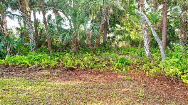 950 Trotter St, Nokomis, FL 34275 - view of undeveloped land