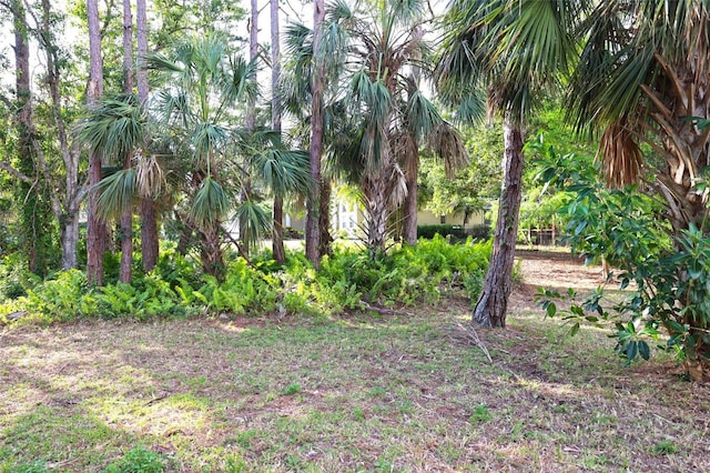 950 Trotter St, Nokomis, FL 34275 - view of yard