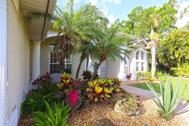 950 Trotter St, Nokomis, FL 34275 - view of home's exterior featuring stucco siding