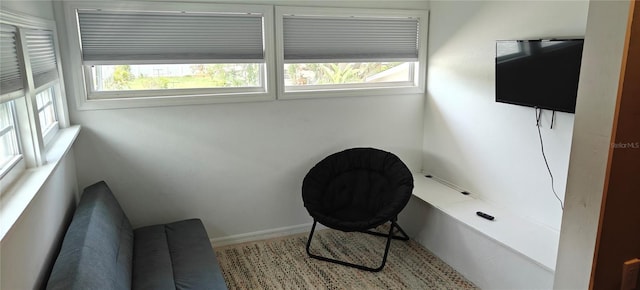 1016 Rhodes Ave, Sarasota, FL 34237 - photo 26