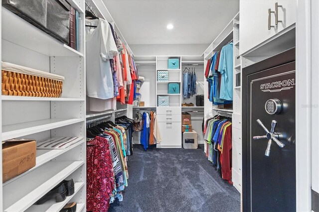 12755 Rainwashed Loop, Parrish, FL 34219 - spacious closet with carpet flooring