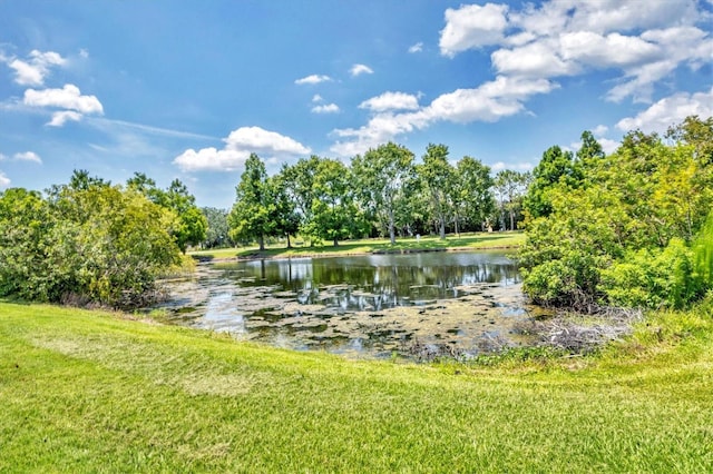 12755 Rainwashed Loop, Parrish, FL 34219 - water view