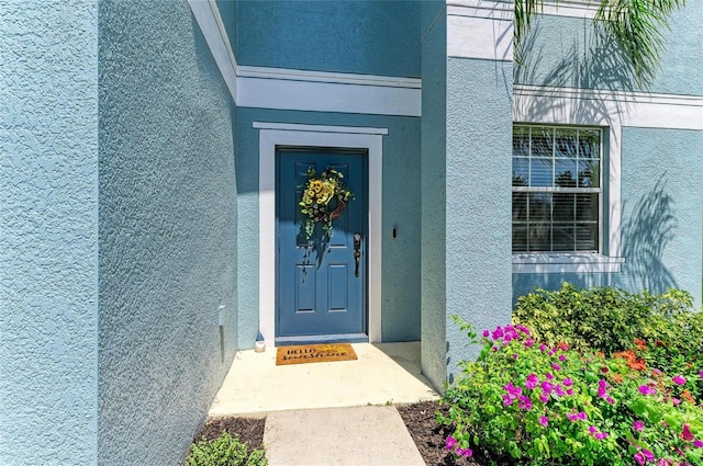 1721 Palm Warbler Ln, Ruskin, FL 33570 - view of exterior entry with stucco siding