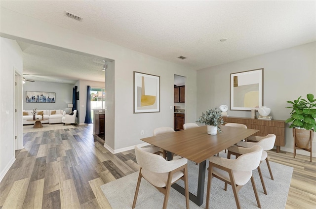 1721 Palm Warbler Ln, Ruskin, FL 33570 - dining area featuring light wood-type flooring, a textured ceiling, and baseboards