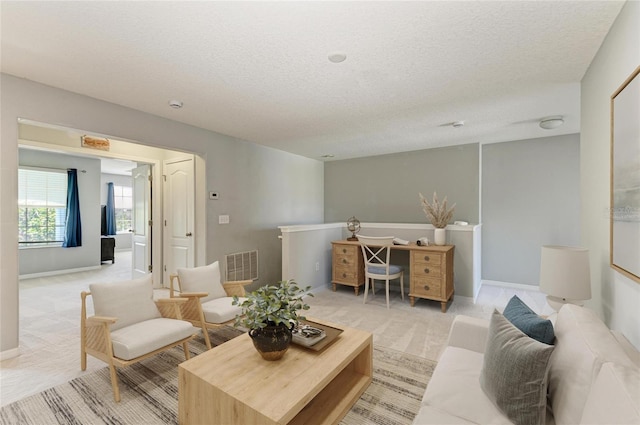1721 Palm Warbler Ln, Ruskin, FL 33570 - living room featuring a textured ceiling, light colored carpet, and baseboards