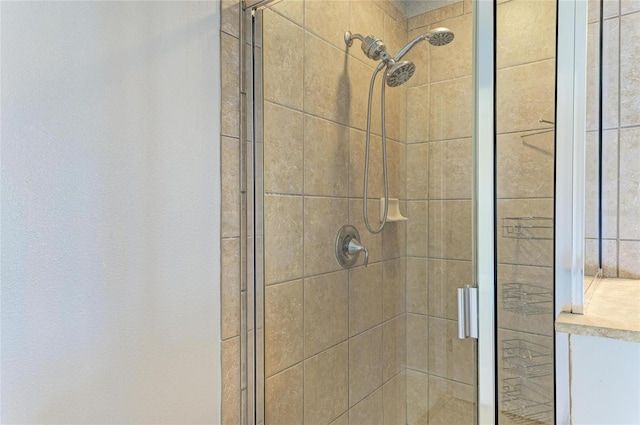 1721 Palm Warbler Ln, Ruskin, FL 33570 - full bath featuring a stall shower