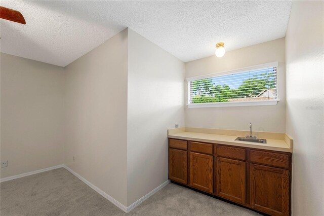 1869 Springbush Ln, Clearwater, FL 33763 - photo 12