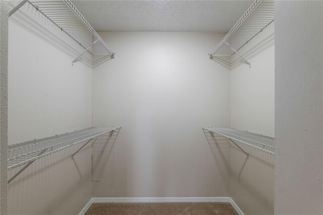 1869 Springbush Ln, Clearwater, FL 33763 - photo 21
