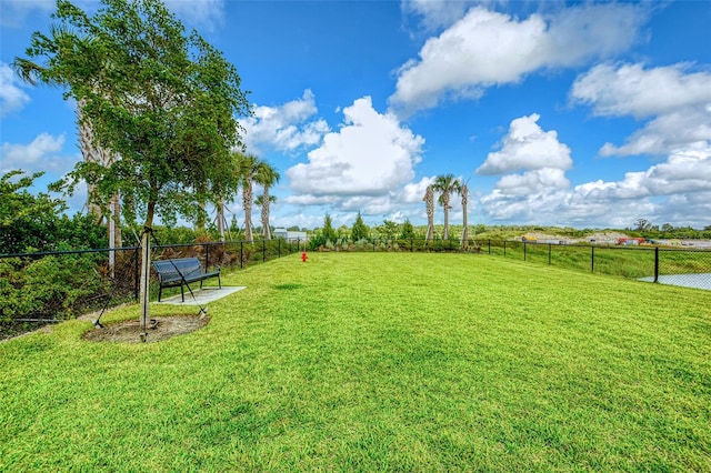 11427 Viani Ter, Palmetto, FL 34221 - view of yard